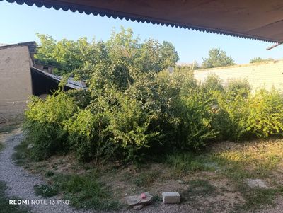 8 sotixli xovli uyi