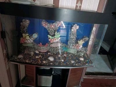 Akvarium sotiladi holati yaxshi hama filtrlari bor