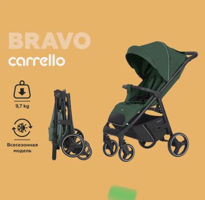 Прогулочная коляска CARRELLO Bravo Spring Green