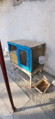 QUYONGA QAFASLA SOTILADI
