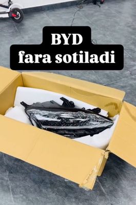 Byd champion 2025 fara kamplekt