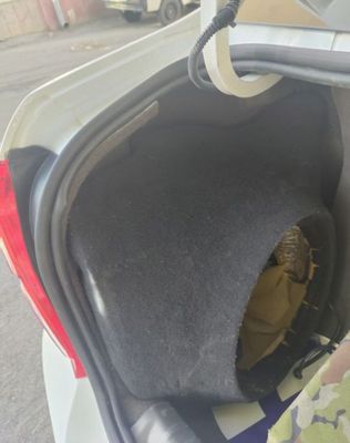 Стелс кобальт учун