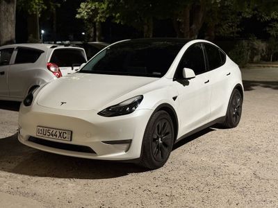 Tesla Model Y Long Range Dual Motor
