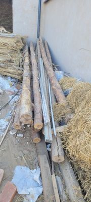 Карагай агаш 6 метр 8 шт сатылады