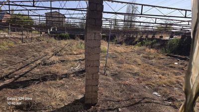 Дала ховли парник сотилади