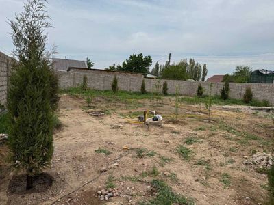 Продаётся Дача в стороне пскента (Ташморе) 7,4 соток в дачном участке
