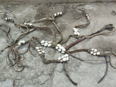 Otning juganiuchun ishlatilgan bezak Chiğanoqlar bilan bezatilgan