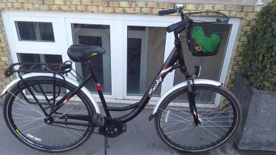 Xitoy velosiped xolati yangi
