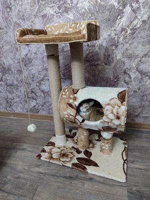 Лежанка, когтеточка, домик, комплекс, дом для кошки, кота, котят
