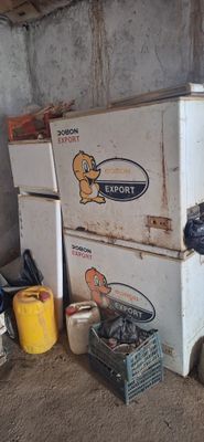 маразелник домашне