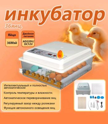 инкубатор автоматический
