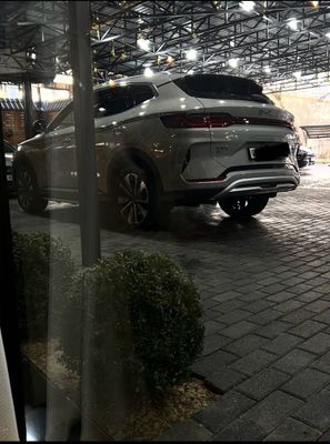 Byd имеются пороги,полики,накидки Алькантаро