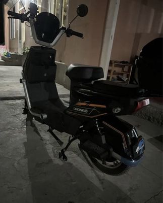 Skuter drongo qora