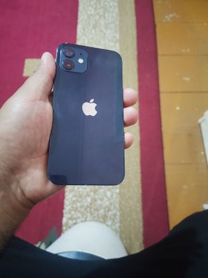 iPhone 12 xamma joyi chotki iwlidi адрес хазарасп