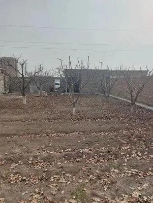 богбон хизмати