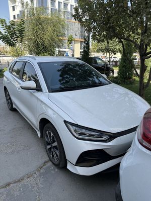 Byd e 2 luxsury 405