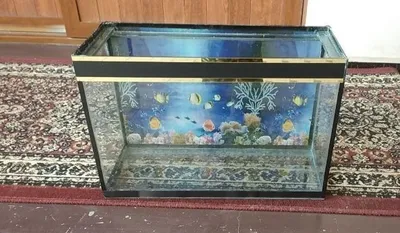 . Аквариум разные