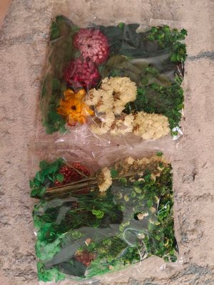 цветы засущеные для творчества, для рукоделия.