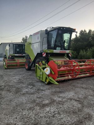 CLASS DOMINATOR 260 4WD kombayn bor sholi òrish uchun
