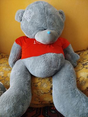 teddy ayiq