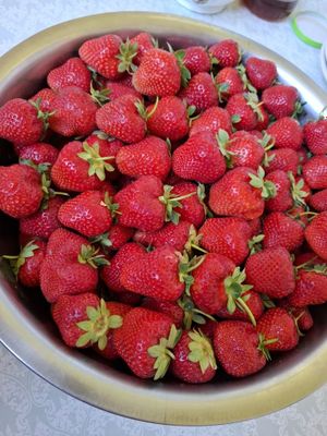 Kvartira sotaman Ŏrtachirchiq tumani Qorasuv