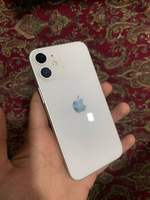 Apple 12