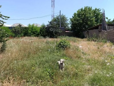 Ер участкаси сотилади / Срочно продается своя участка (рядом с Дурмон)