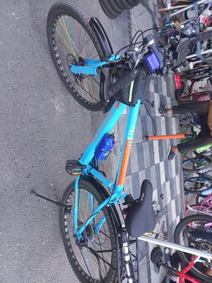 Velosiped arzon narxda 5kun minilgan