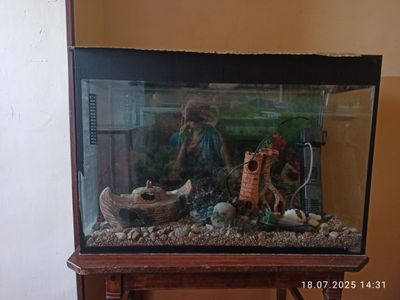 akvarium