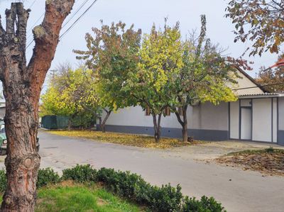 Учтепа 8 хона ,380 м² , ховли уй сотилади. Хужжатлари жойида.
