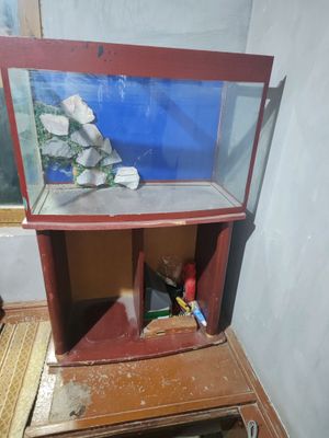 Akvarin 250 L pastavkasi oʻzi bilan toshlari bot