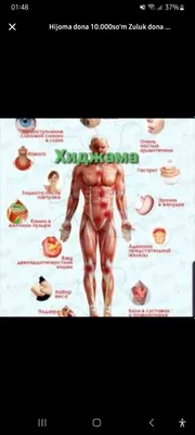 Ayollarni xijoma xijoma qilaman