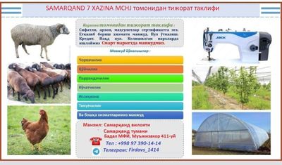 Кредитга мол куй. хохлаган махслотлар бор