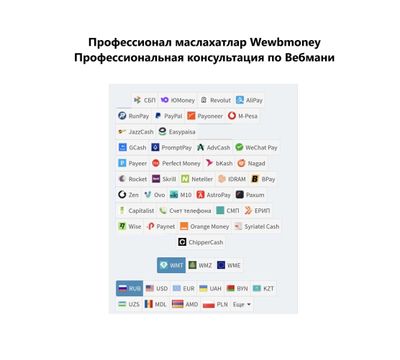 Профессионал маслахатлар Webmoney, Консультация по Вебмани