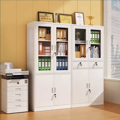 Ofis hujjatlar shkafi/Офисный шкаф для документов