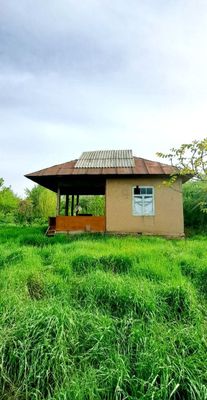 Дача 8 соток Навбахор Чистая экология Янгибазар Паркент Джумабазар
