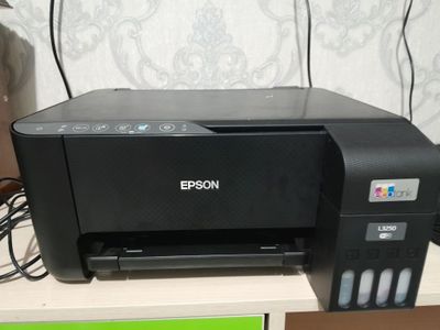 Printer EPSON svitnoy