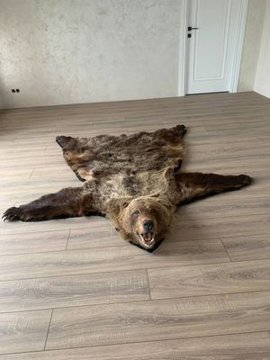 шкура медведя,