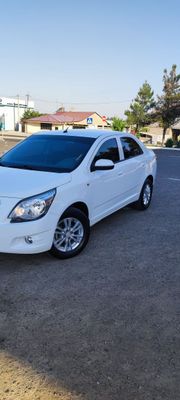 Kobilt 2022 yil kraska top toza 100% srochniy