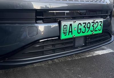 Радиатор сетки для Leapmotor С11 от «LeapMotorShop»