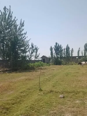 Ko'chmas mulk/yer uchastkasi