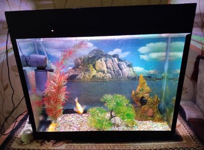 Akvarium sotiladi/ Продам аквариум