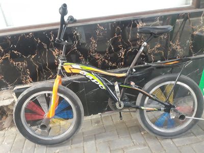 Bars velosiped 2024