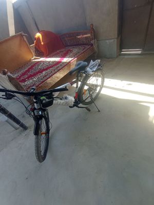 Velosiped holat yengde olgandan ber 2 marta haydalgan 100$