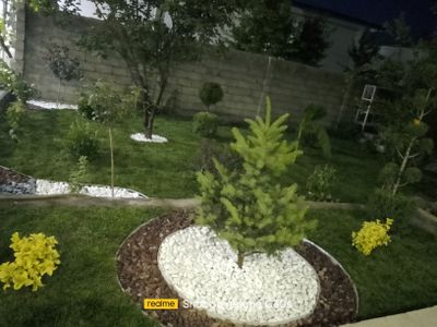 Archa va gullar gazon xizmati ham mavjud