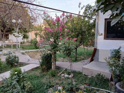 Dacha sotiladi tayor hamma narsasi