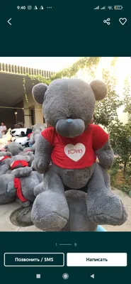 Teddi ayiq Teddy Bear (30sm 3m)