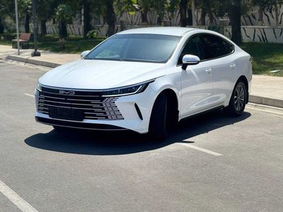BYD chazor 55km 2 поз 2024й ранги ок