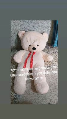 kattagina teddy sovgʻalar uchun zoʻr tanlov
