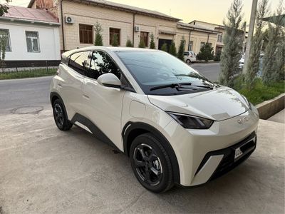 Seagull 2024 official BYD Kraska toza naht yoki arenda